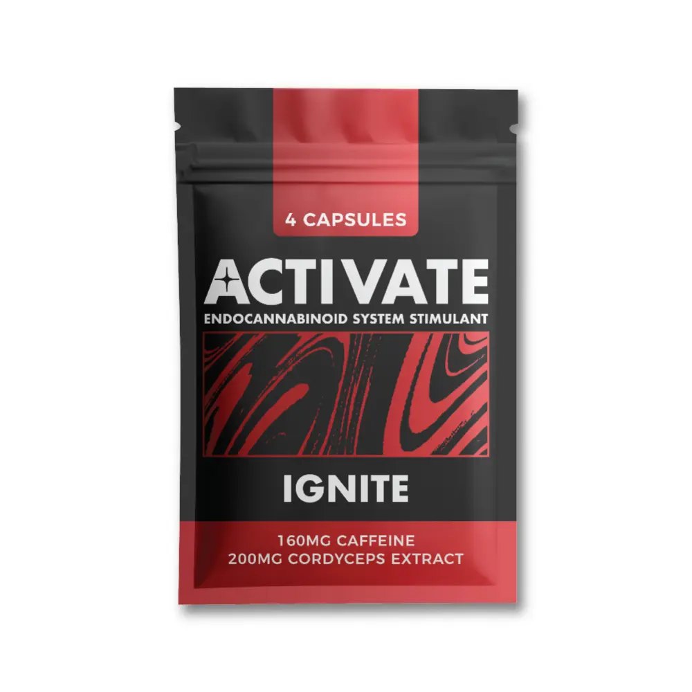 Activate Ignite